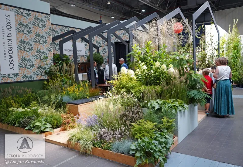 Тәлімбақ аумағы